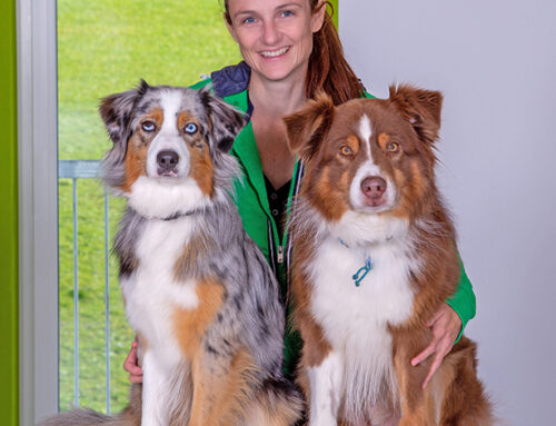 Marina mit Kijani & Rose: Therapiebegleithunde-Team