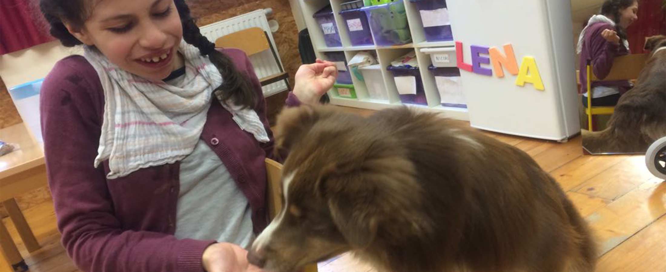 hundetherapie1 Therapiehunde bei Schritt für Schritt, Verein zur Förderung behinderter Kinder. Tirol.