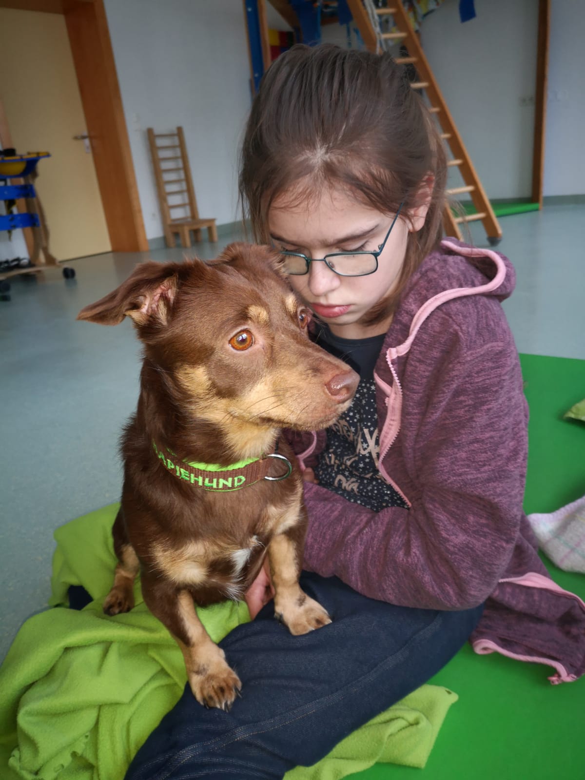 Therapiehunde bei Schritt für Schritt, Verein zur Förderung behinderter Kinder. Tirol.