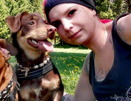 Michelle mit Krümel: Therapiebegleithunde-Team
