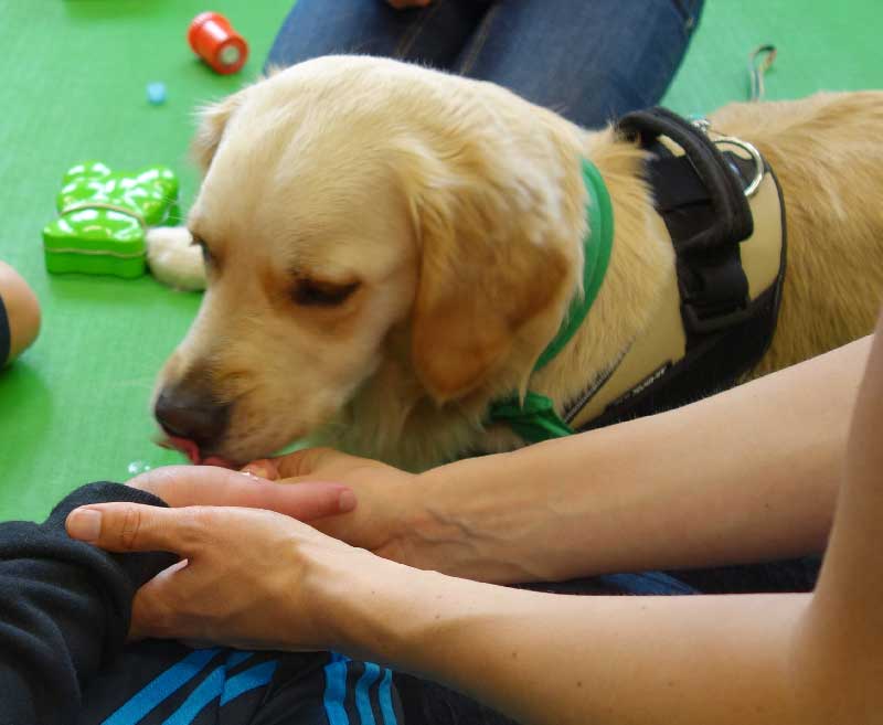 therapiehund-4 Therapiehunde bei Schritt für Schritt, Verein zur Förderung behinderter Kinder. Tirol.