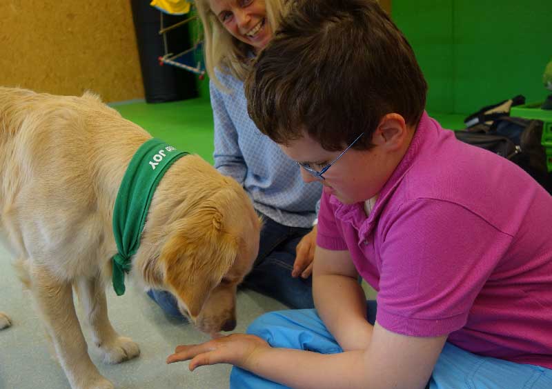 Therapiehunde bei Schritt für Schritt, Verein zur Förderung behinderter Kinder. Tirol.