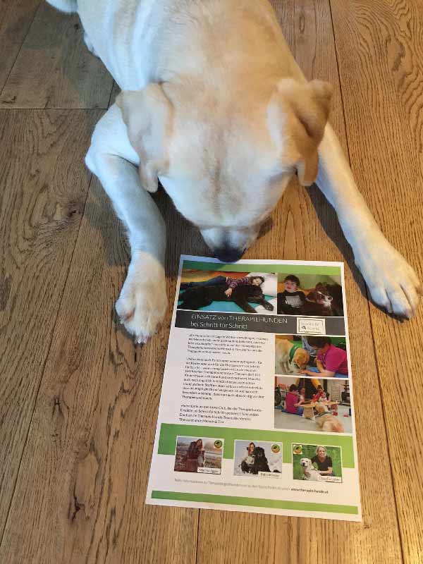 therapiehund-schritt-fuer-schritt-2 Therapiehunde bei Schritt für Schritt, Verein zur Förderung behinderter Kinder. Tirol.