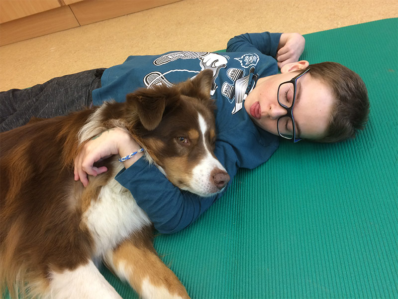 Therapiehunde bei Schritt für Schritt, Verein zur Förderung behinderter Kinder. Tirol.