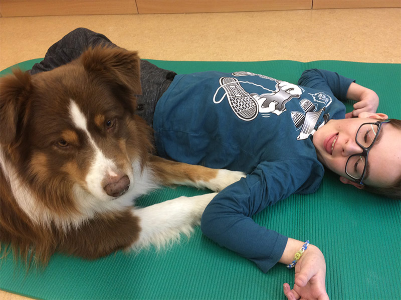 Therapiehunde bei Schritt für Schritt, Verein zur Förderung behinderter Kinder. Tirol.