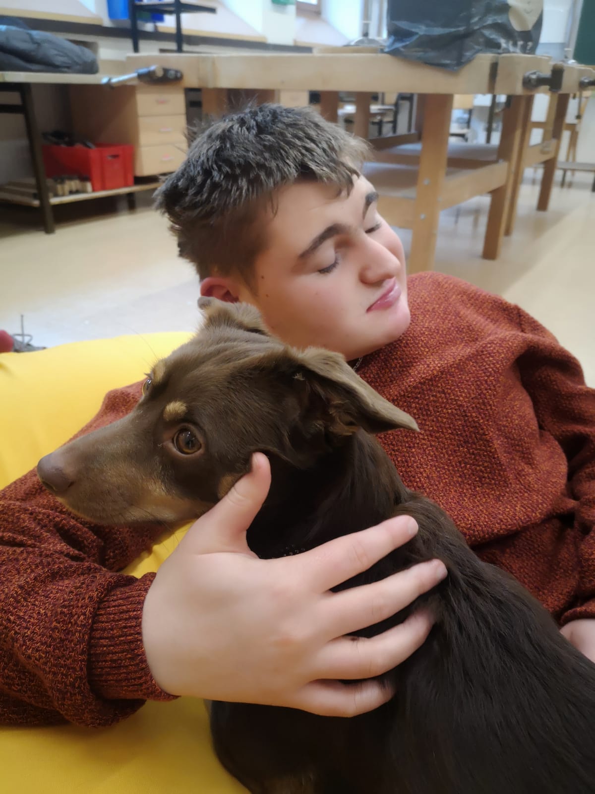 therapiehunde-schrittfuerschritt 2 Therapiehunde bei Schritt für Schritt, Verein zur Förderung behinderter Kinder. Tirol.