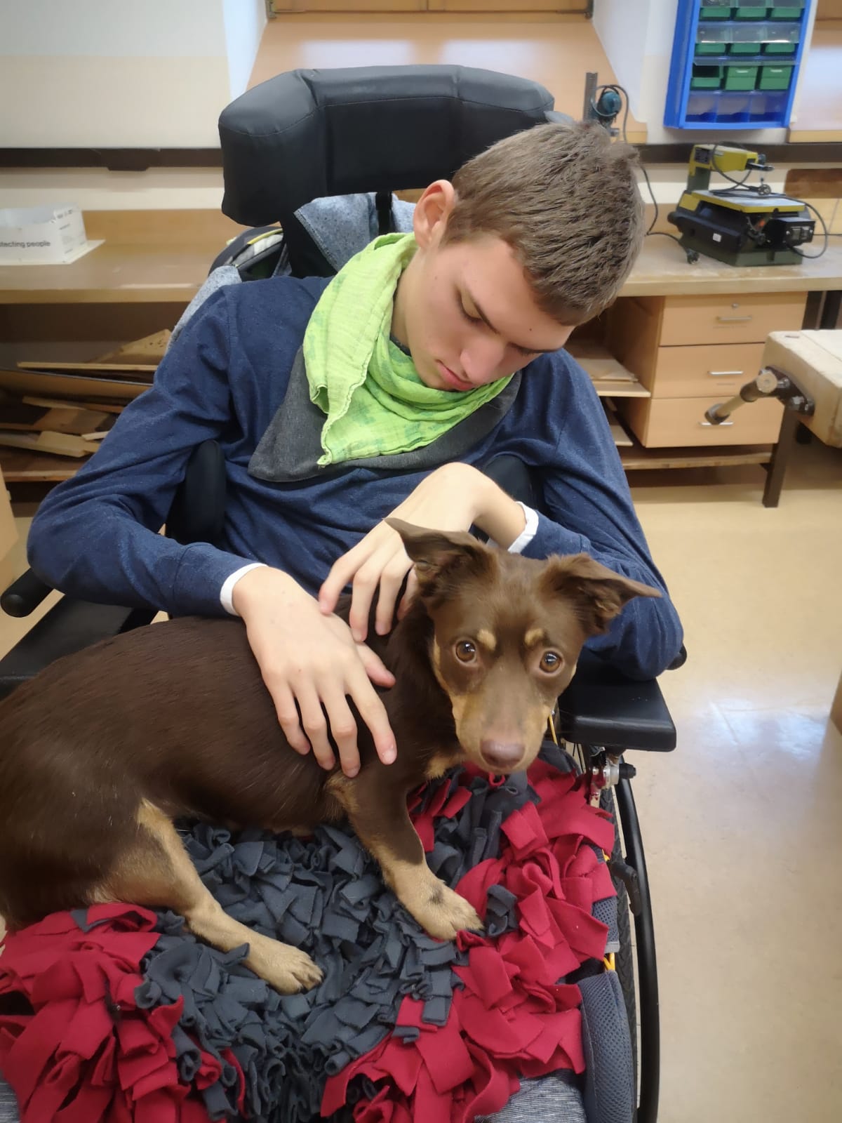 therapiehunde-schrittfuerschritt 4 Therapiehunde bei Schritt für Schritt, Verein zur Förderung behinderter Kinder. Tirol.
