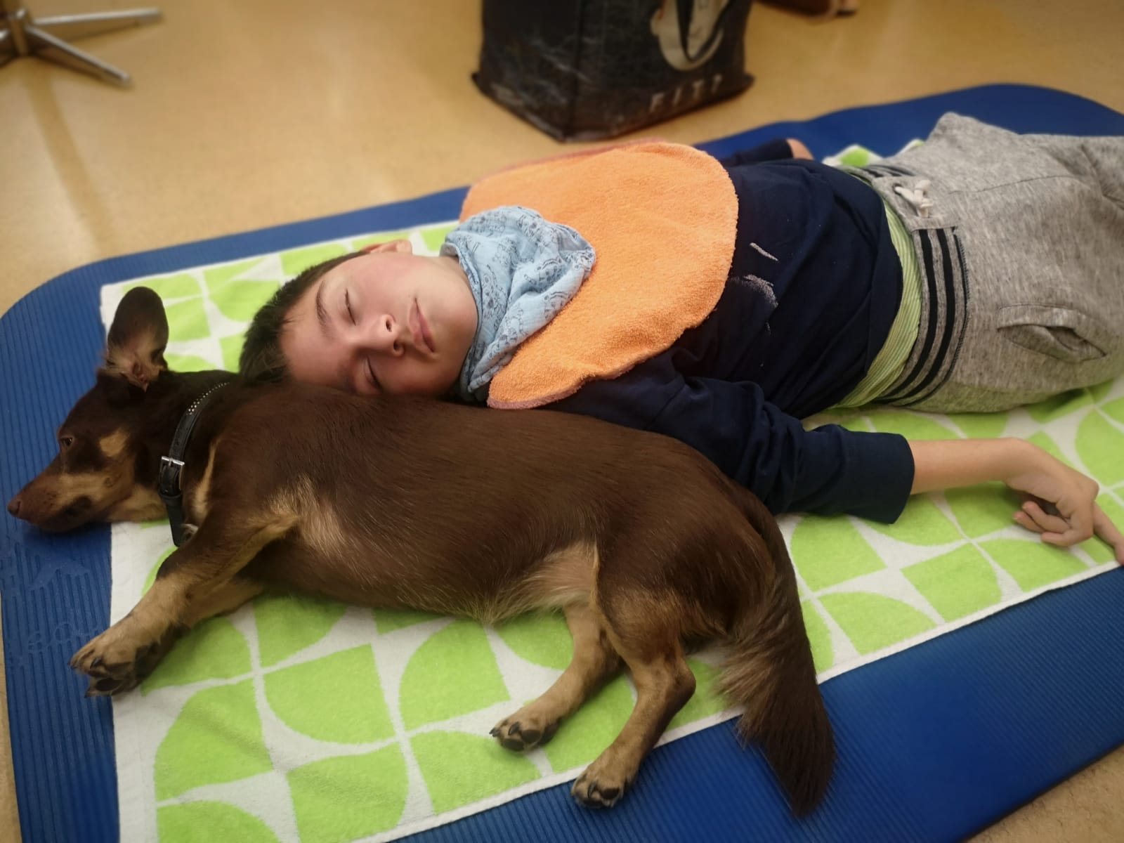 therapiehunde-schrittfuerschritt1 Therapiehunde bei Schritt für Schritt, Verein zur Förderung behinderter Kinder. Tirol.