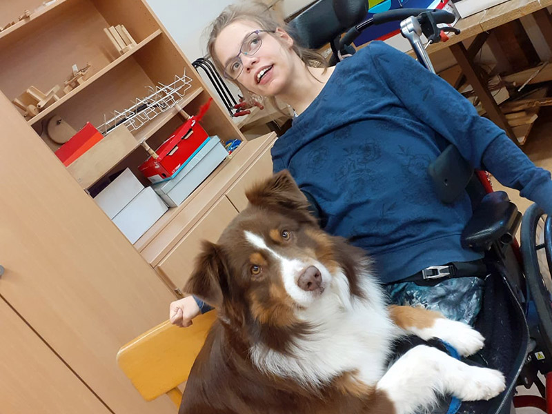nora-hund Ein Tag bei Schritt für Schritt mit Nora