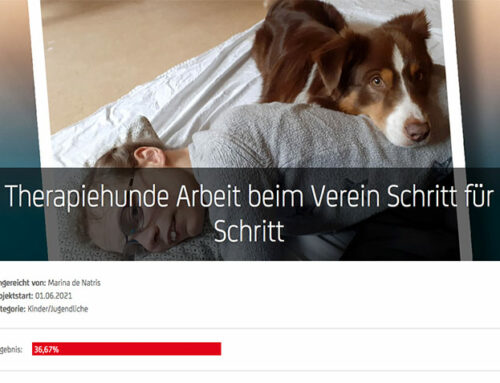 Therapiehunde-Einsätze dem Sozialpreis Tirol ausgezeichnet