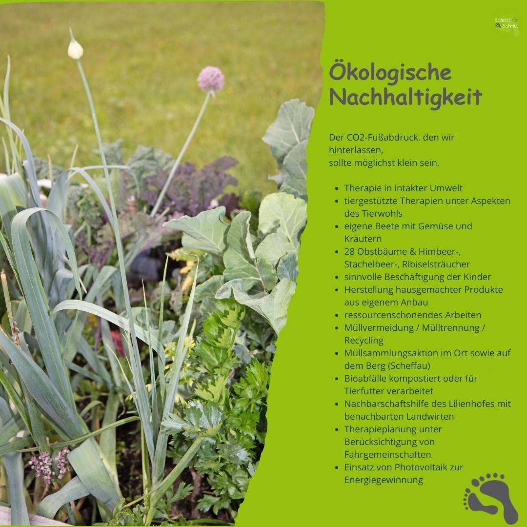 nachhaltigkeit bei schritt fuer schritt- 5 Nachhaltigkeit bei Schritt für Schritt